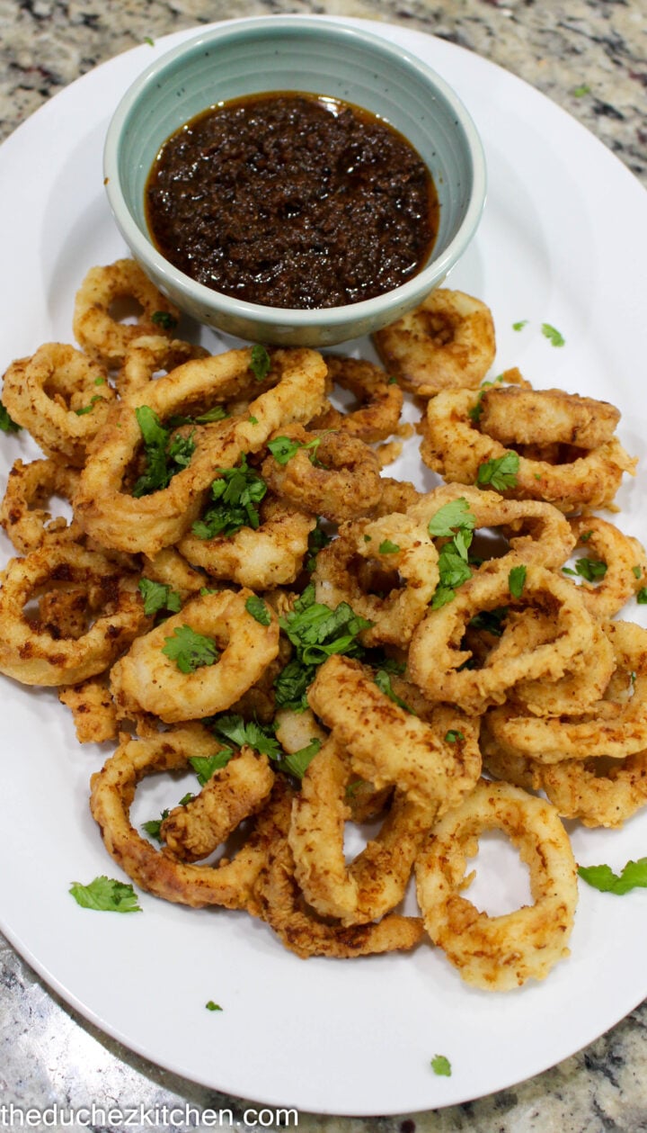 Fried Calamari