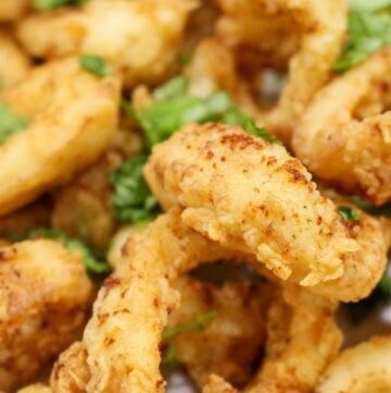 Fried Calamari